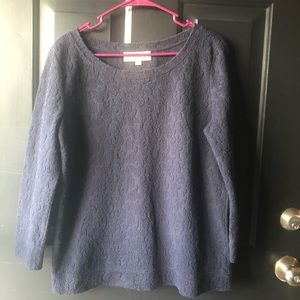 Ann Taylor Loft Navy Sweater